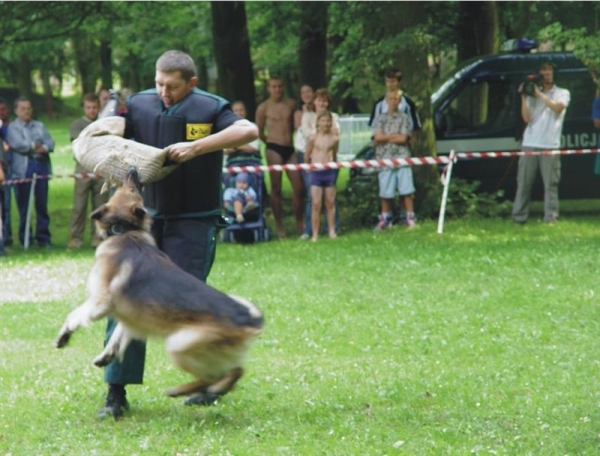 BEZPIECZNE LATO_2